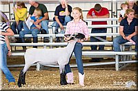 LCFAIR14-1695.jpg