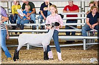 LCFAIR14-1696.jpg