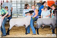LCFAIR14-1697.jpg