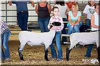 LCFAIR14-1698.jpg