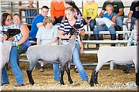 LCFAIR14-1700.jpg