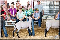 LCFAIR14-1703.jpg