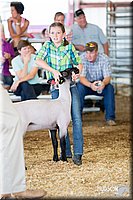 LCFAIR14-1705.jpg