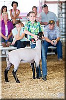 LCFAIR14-1706.jpg