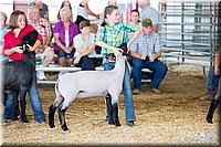 LCFAIR14-1708.jpg