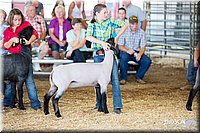 LCFAIR14-1709.jpg