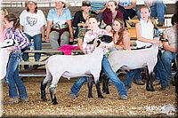 LCFAIR14-1713.jpg