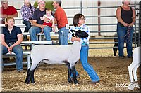 LCFAIR14-1714.jpg