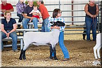 LCFAIR14-1715.jpg