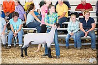 LCFAIR14-1716.jpg
