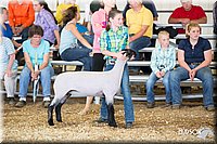 LCFAIR14-1717.jpg
