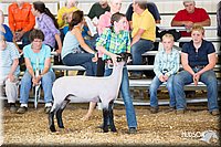 LCFAIR14-1718.jpg