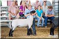 LCFAIR14-1720.jpg