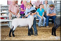LCFAIR14-1722.jpg