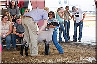 LCFAIR14-1728.jpg
