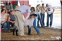 LCFAIR14-1729.jpg