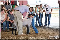 LCFAIR14-1730.jpg