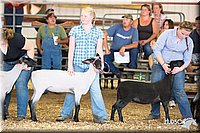 LCFAIR14-1738.jpg