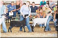 LCFAIR14-1739.jpg