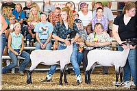 LCFAIR14-1747.jpg