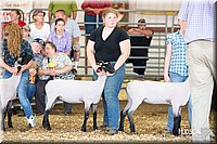 LCFAIR14-1749.jpg