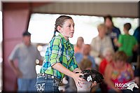 LCFAIR14-1752.jpg