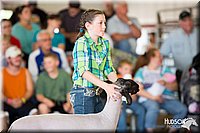 LCFAIR14-1753.jpg