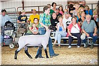 LCFAIR14-1754.jpg