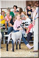 LCFAIR14-1757.jpg
