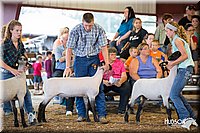 LCFAIR14-1803.jpg