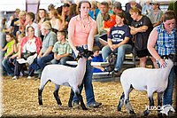 LCFAIR14-1837.jpg