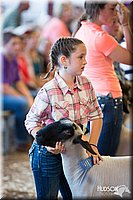 LCFAIR14-1850.jpg