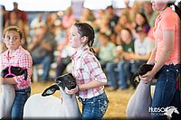 LCFAIR14-1858.jpg