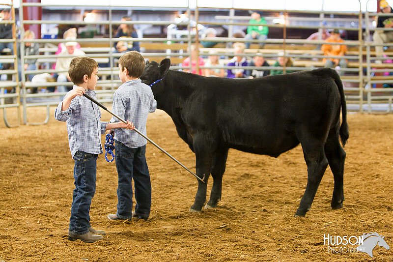 LCFAIR14-1283.jpg