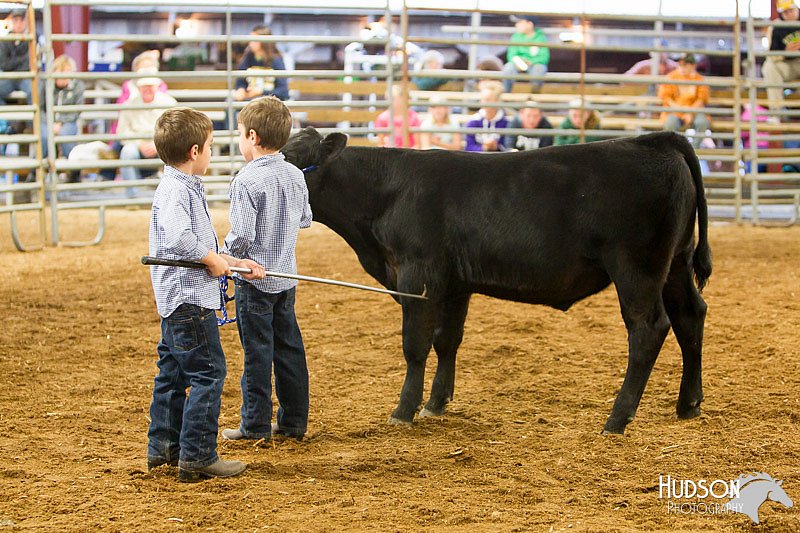 LCFAIR14-1286.jpg