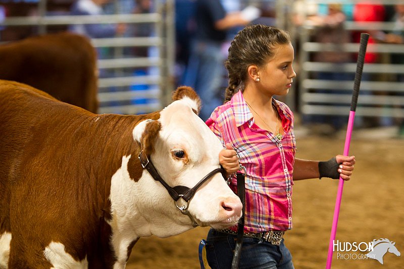 LCFAIR14-1355.jpg