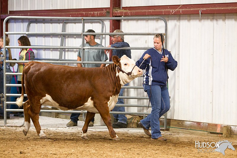 LCFAIR14-1356.jpg