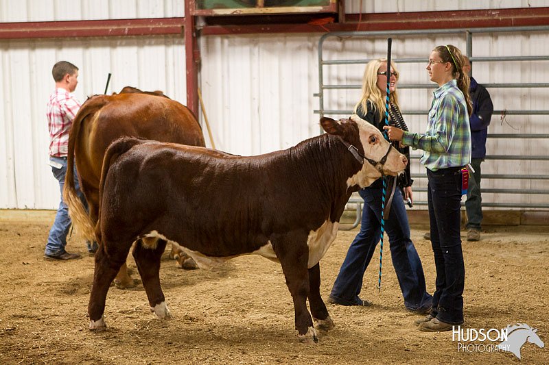 LCFAIR14-1414.jpg