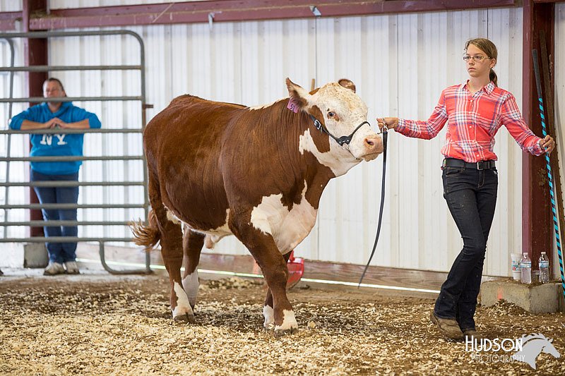 LCFAIR14-1434.jpg