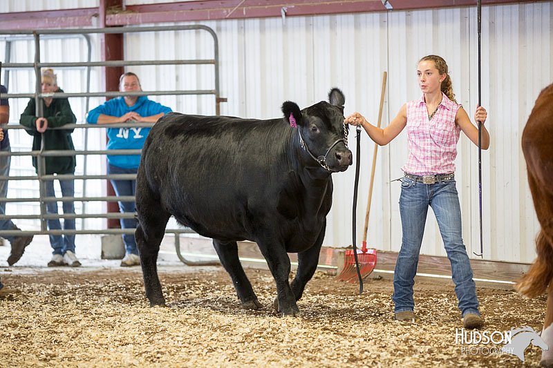 LCFAIR14-1435.jpg