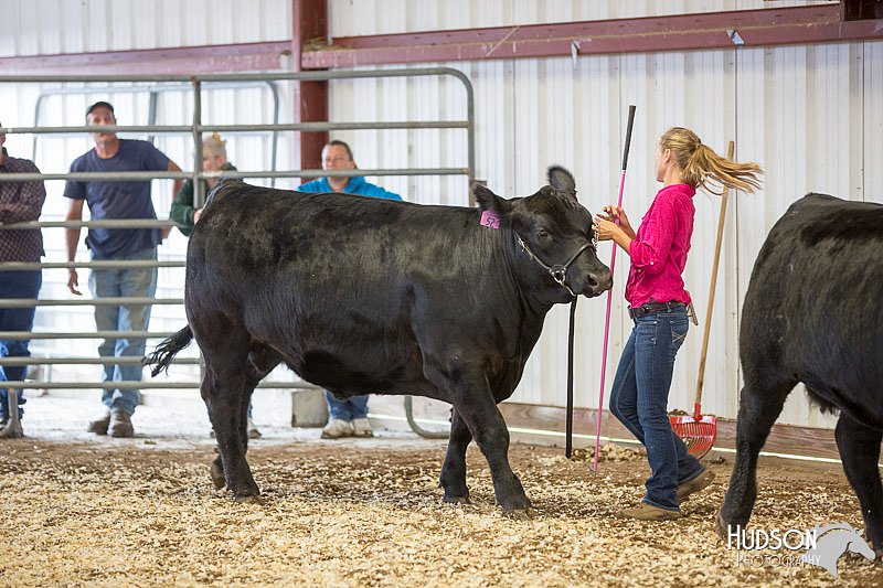 LCFAIR14-1436.jpg
