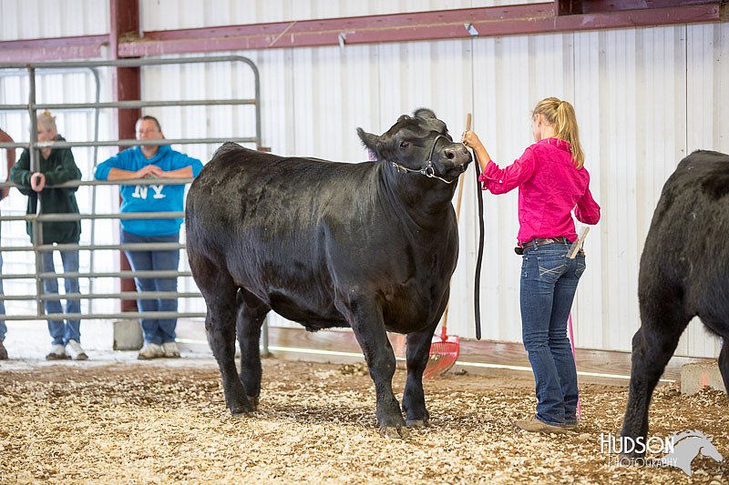 LCFAIR14-1437.jpg