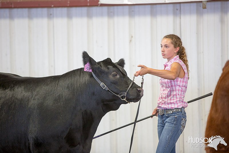 LCFAIR14-1438.jpg