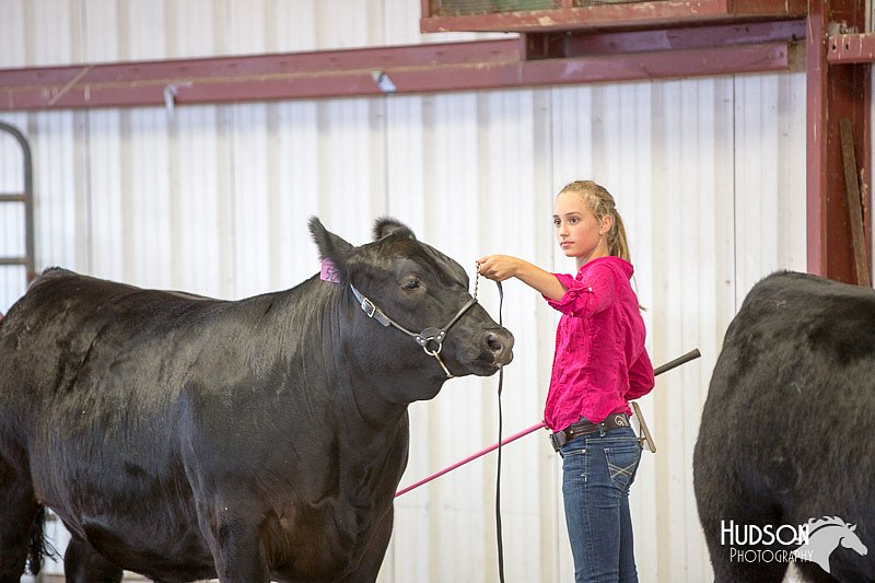LCFAIR14-1439.jpg