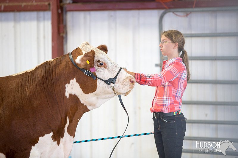 LCFAIR14-1440.jpg