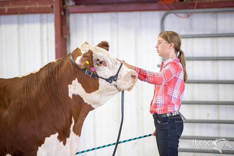 LCFAIR14-1441.jpg