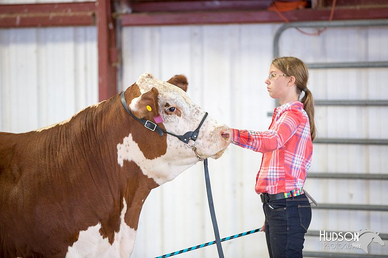 LCFAIR14-1442.jpg
