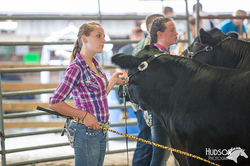 LCFAIR14-1443.jpg
