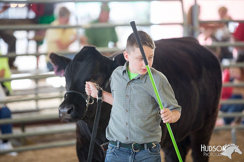 LCFAIR14-1455.jpg