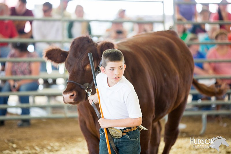LCFAIR14-1461.jpg